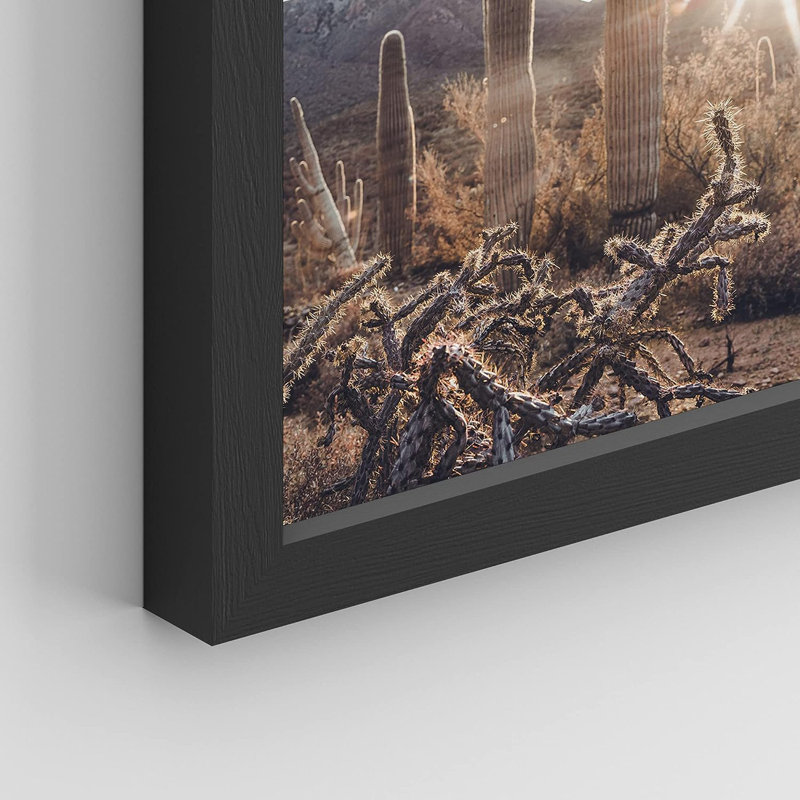 «Cactus Desert Landscape», reproduction encadrée de 4 pièces, Cadre noir, H 16 po x l 12 po x P 1 po