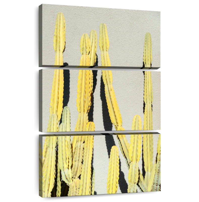 Cactus jaune Harnek, H 45 po x l 28 po