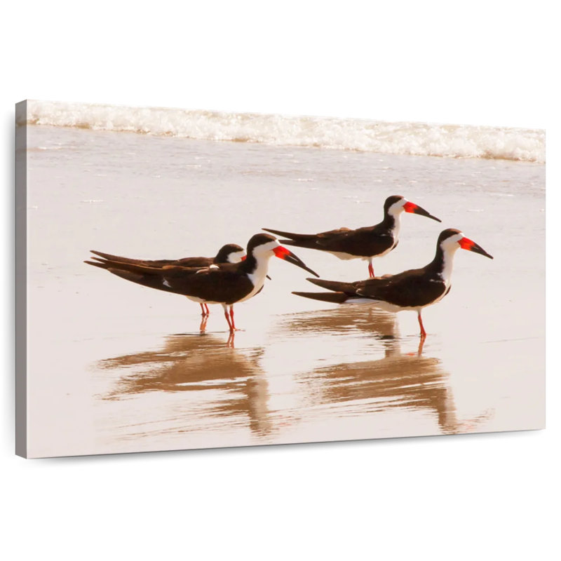 Brampt A Few Black Skimmers I, 26" H x 39" W