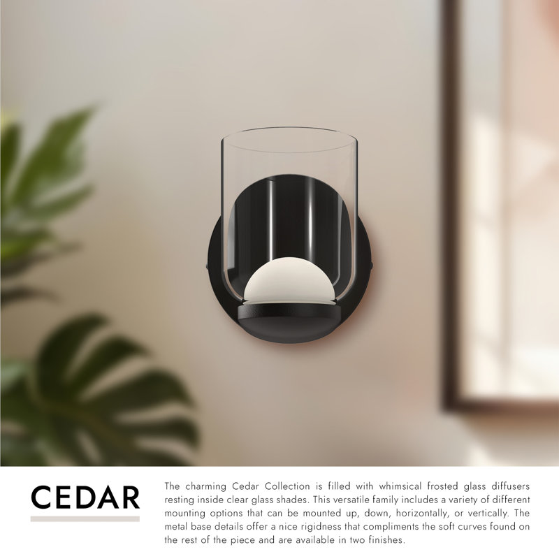 Cedar 1 - Light LED Armed Sconce, Black