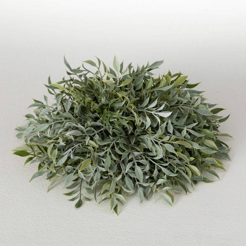 Orbe Ruscus 5,5 po; vert