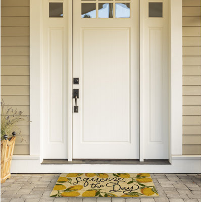 Shailena Outdoor Doormat