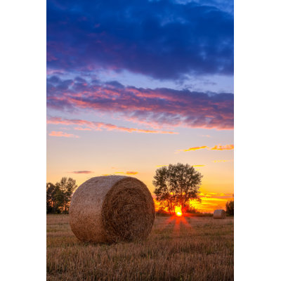 " Sunset Field " by Remedios