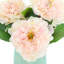 Peonies in Ceramic Vase