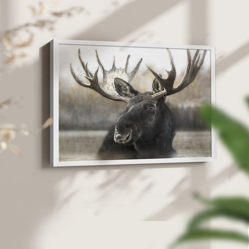 Moose Spa - reproduction encadrée - réarmable