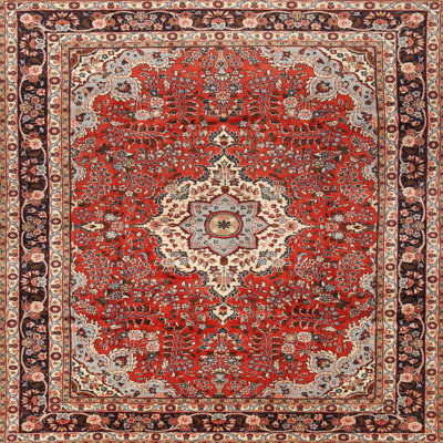 Hakana Performance Oriental Indoor Rug