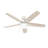44" Anisten ENERGY STAR® 5-Blade Standard Ceiling Fan with Pull Chain and LED Light Kit Included-95545316-95545320-95545321