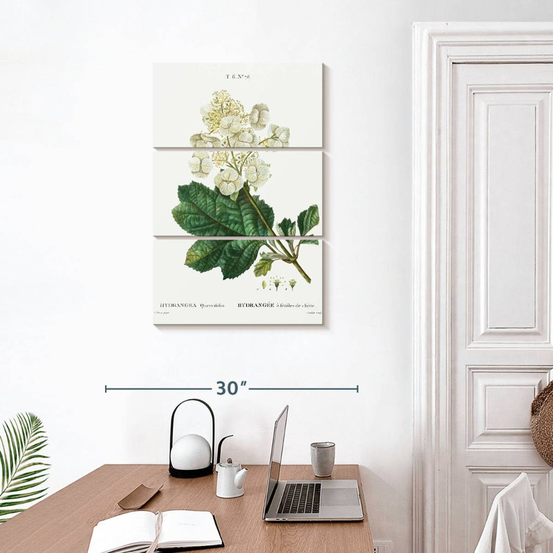 Hortensia à feuilles de chêne Keiri, H 32 po x l 20 po