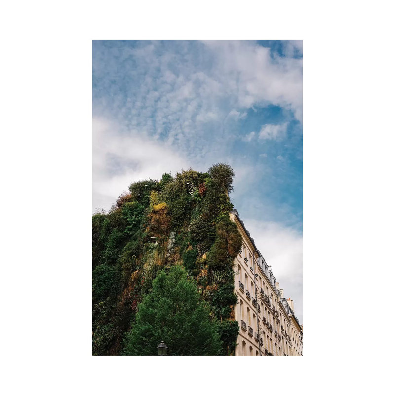 Parisian Vertical Garden by Bethany Young - Print on Canvas, 66.04cm H x 45.72cm W x 1.91cm D, Wrapped Canvas