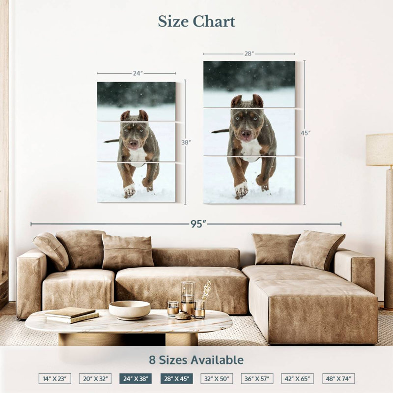 Brampt Pit Bull sur neige, H 38 po x l 24 po