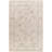 Jinhong Oriental Machine Made Power Loomed Polyester Area Rug in Beige-1335172869