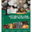 Indoor / Outdoor Projection & Strobe Lights