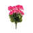 Rose sélectionné