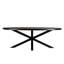 Basile Oval Dining Table