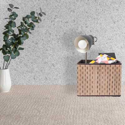 Bayou Breeze Decorative Bin
