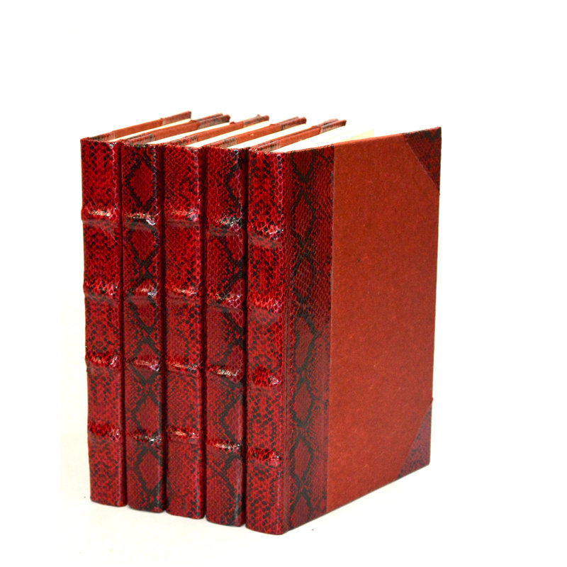5 Piece Exotic Python Decorative Book Set