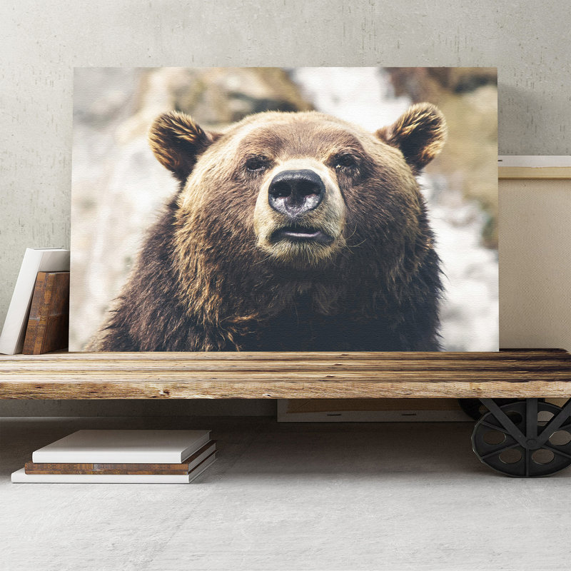 Brown Grizzly Bear Photographic - Wrapped Canvas, 50cm H x 76cm W