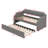 Cicel Upholstered Daybed with Trundle Bed-1741891535