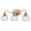 Luminaire de salle de bain 3 lumières Shirley, champagne, or, verre tulipe transparent cannelé de 21,25 po de largeur, acier, à intensité variable, compatible DEL, fixation réversible-132968100