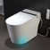 Auto Open/Close Tankless Smart Bidet Toilet with Auto Flush, Foot Sensor Function, Heated Seat,Dryer