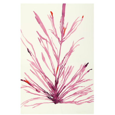 Plants II Print by Hable Construction
