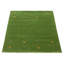 Tapis vert Kashkuli Gabbeh 3 pi 11 po x 5 pi 6 po