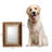 Umaiza Solid Wood Rectangle Mirror