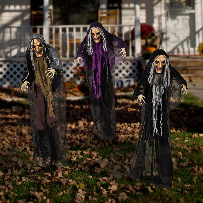 The Holiday Aisle® 3 Piece Witches Garden Stake Set & Reviews | Wayfair