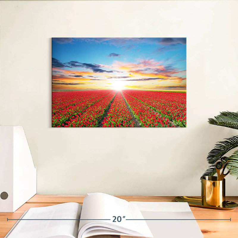 Harnek Tulip Field Sunshine