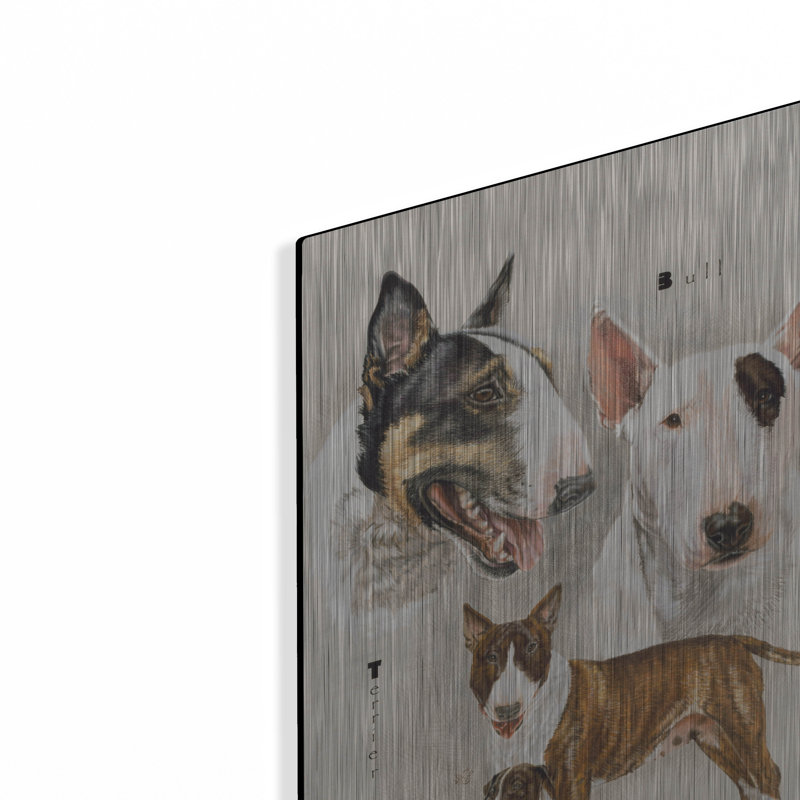 «Bull Terrier» par Barbara Keith, H 16 po x l 12 po