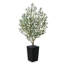 Olive artificielle Adcock pour la décoration intérieure et extérieure, faux olivier avec pot décoratif-1849018813-1849018812