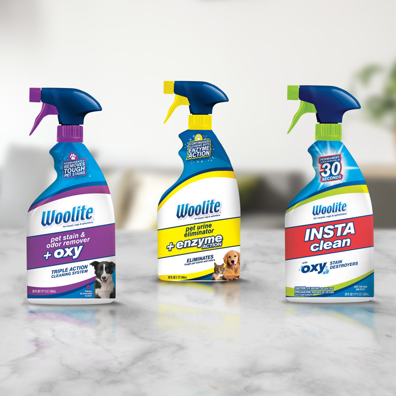 Woolite Instaclean Stain Remover - 22 Oz