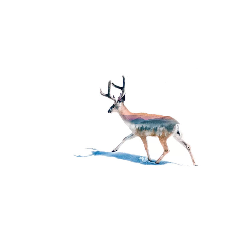 Winter Deer 1 Piece Wall Art on Canvas, 66.04 cm H x 45.72 cm W x 1.91 cm D, Wrapped Canvas