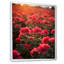 Photo Og Geraniums Field II sur toile-1705815526-1705815324