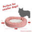 Charlie et Sherpa Bagel Donut-35291498-35291497