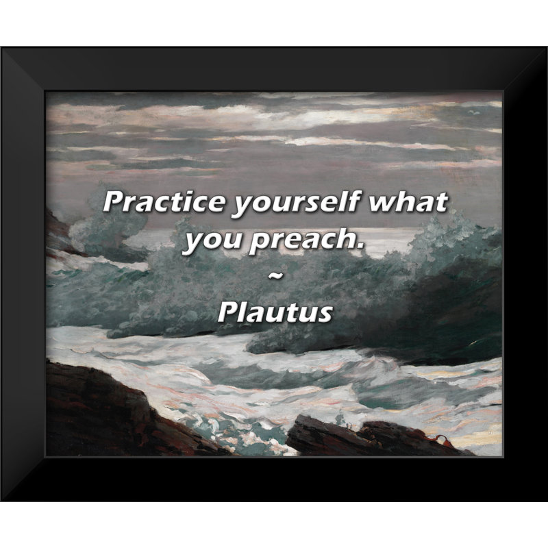 Plautus Quote: Practice yourself what you preach.