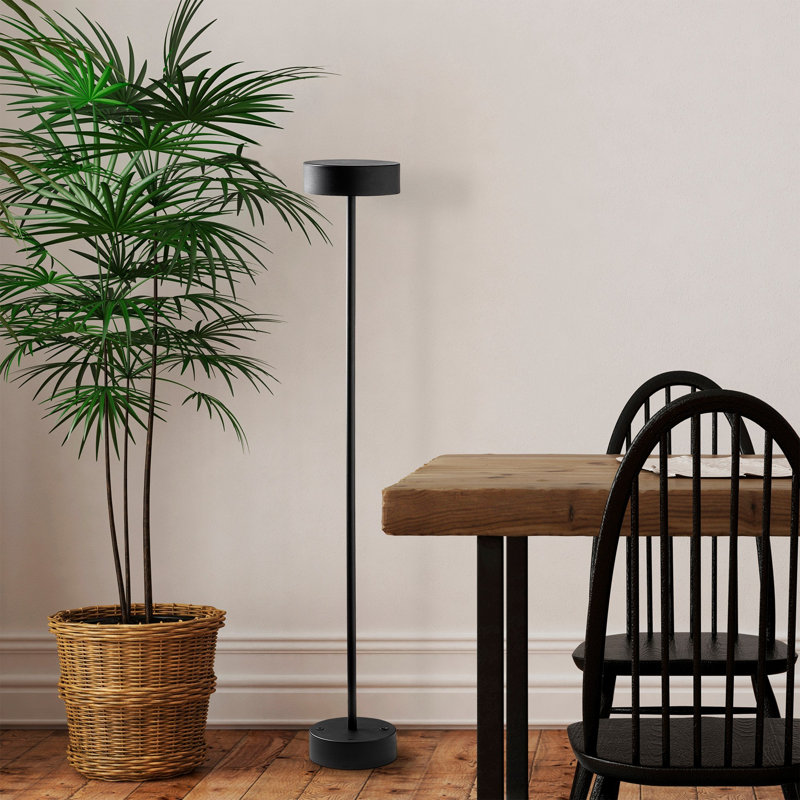 43.623'' Traditional Floor Lamp, Black