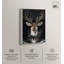 «Deer in Snowfall», reproduction d'art sur toile par Art Remedy, cadre argenté, 10 x 15-162240885-162240832