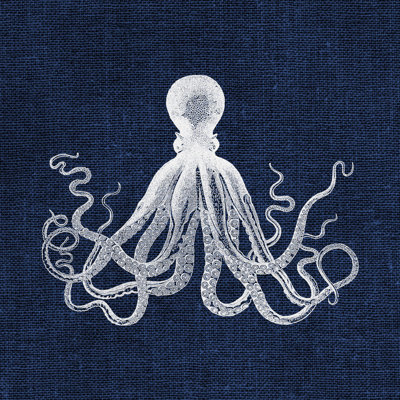 " Octopus On Navy " by Stacey Powell