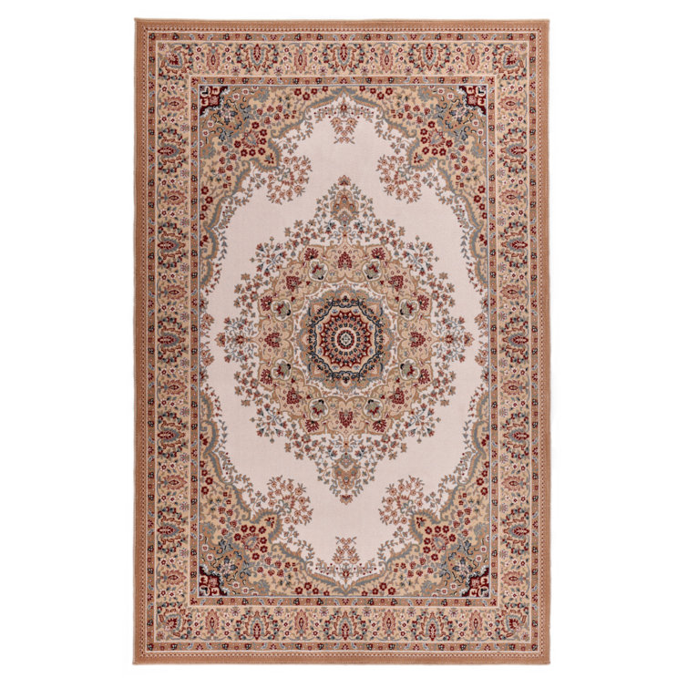 Oriental Area Rug