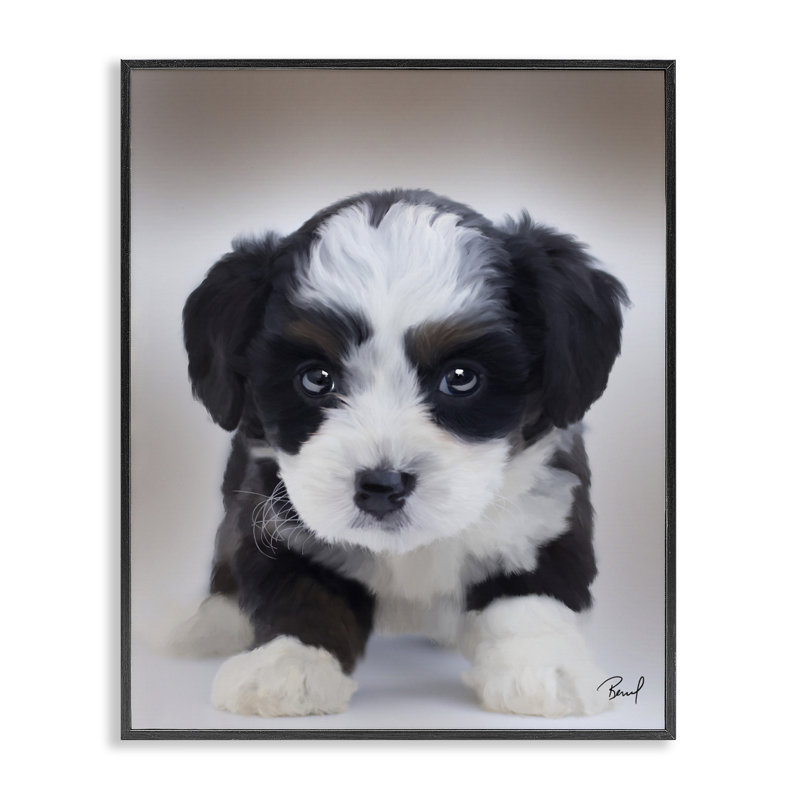 «Fluffy Bernedoodle Puppy», art de la giclée encadrée, design par Renel Peters, H 14 po x l 11 po