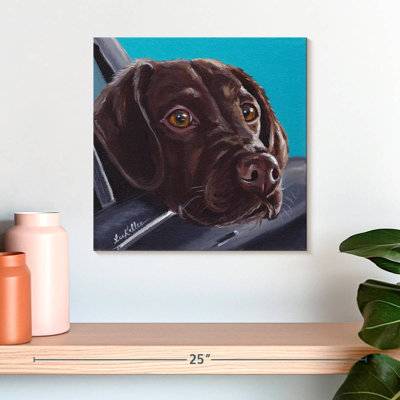Brampt Chocolate Lab In Car