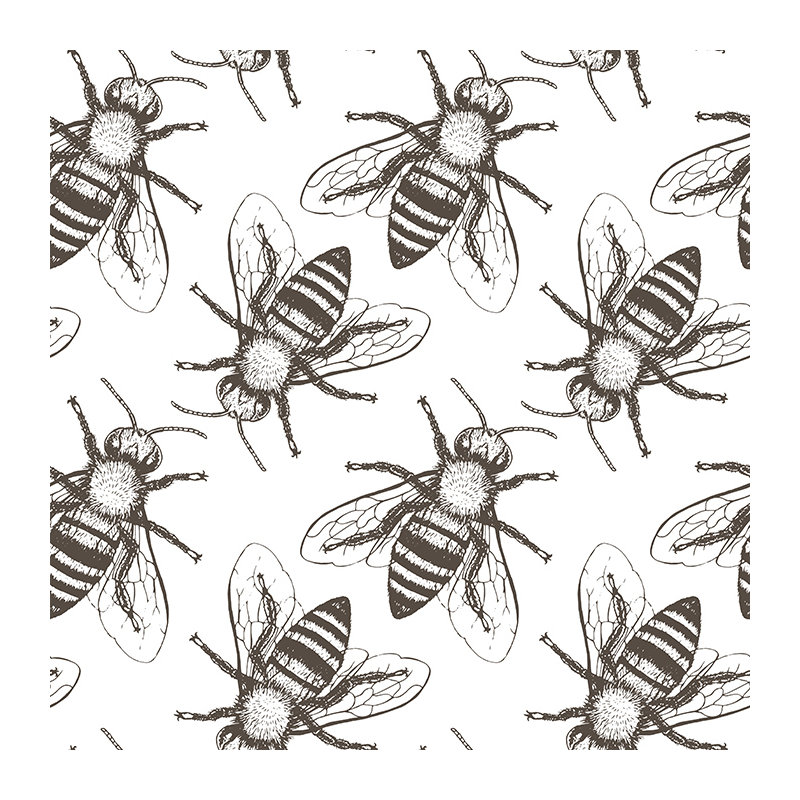 Lamm No Pattern And Not Solid Colour Wallpaper, 250 x 104cm