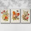 Antique Floral Bouquet I, ensemble de 3 toiles encadrées-97759424-97759429