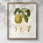 Walnut Framed Paper
