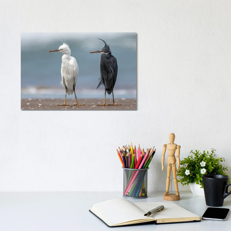 Untitled 1 Piece Wrapped Canvas Wall Art, 20.32cm H x 30.48cm W
