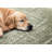 Manzelli Traditional Green White Area Rug-110054593