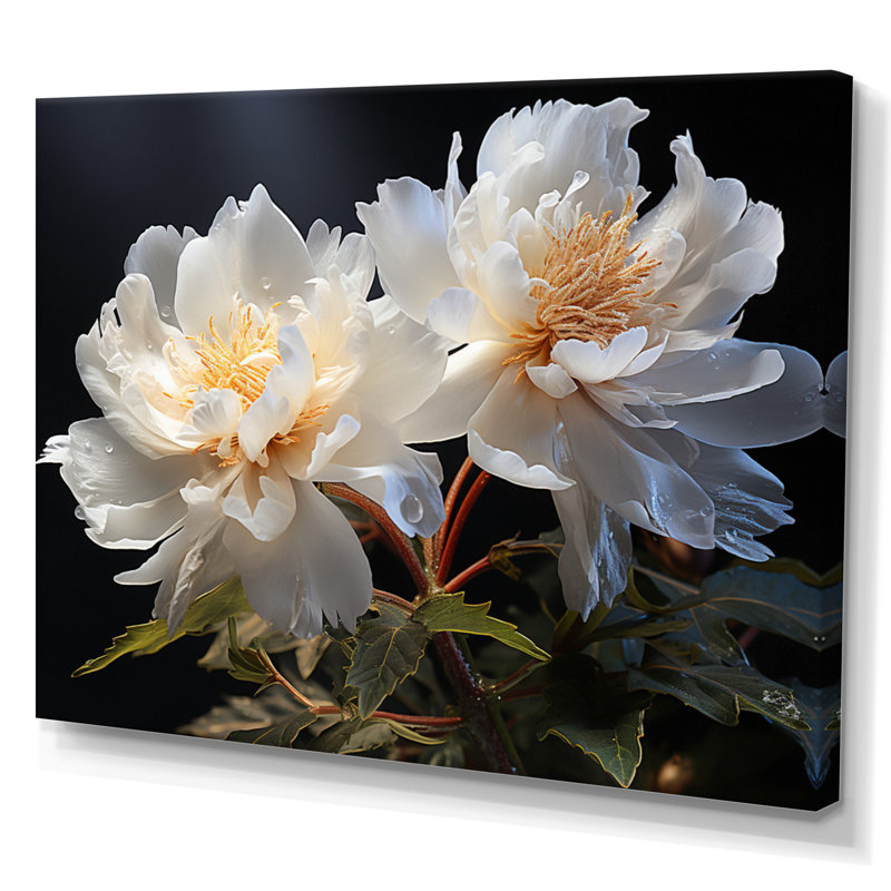 " White Peonies Romantic Impression III ", Wrapped Canvas, 24" H x 32" W x 1" D