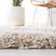 Molloy Sgb-Belize Shag Performance Geometric Rug