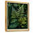 Gold Floater Framed Canvas